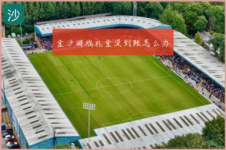 金沙游戏礼金没到账怎么办